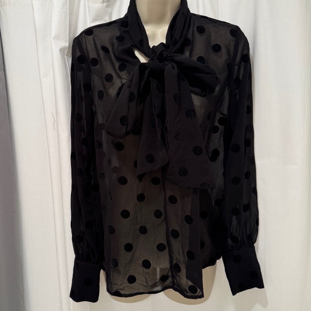 Forever 21 Sheer Black Polka Dot Blouse
